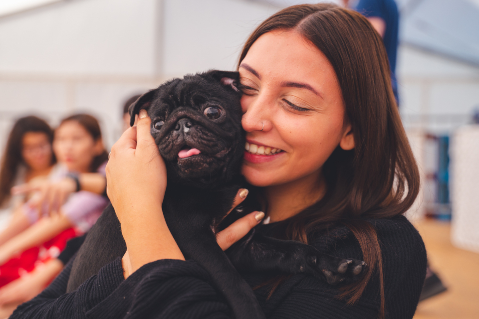 Students chatting during elections